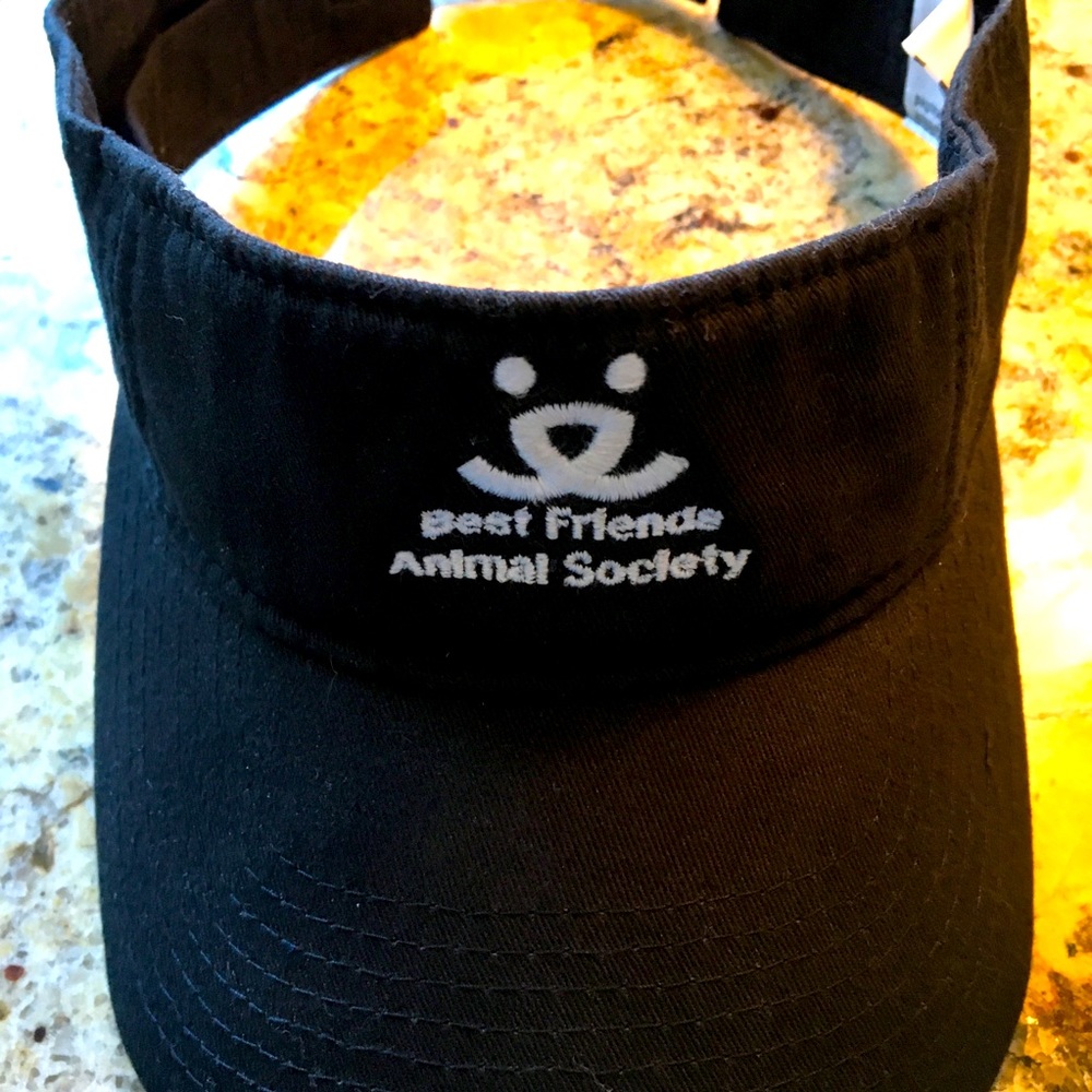 Best Friends Visor